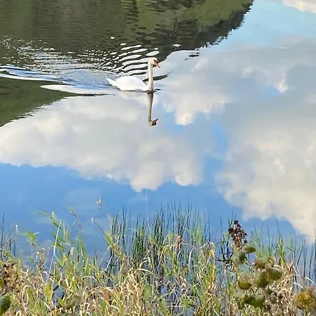 Katie's Nyaraló Limerick Junction