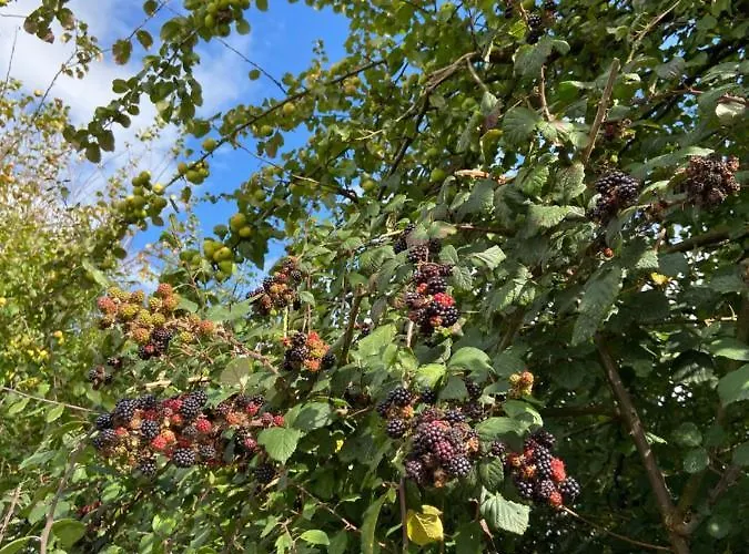 Holiday home Katie's